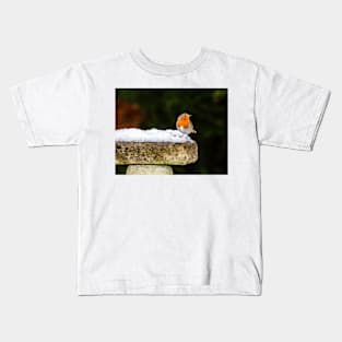 Robin on Snowy Birdbath Kids T-Shirt